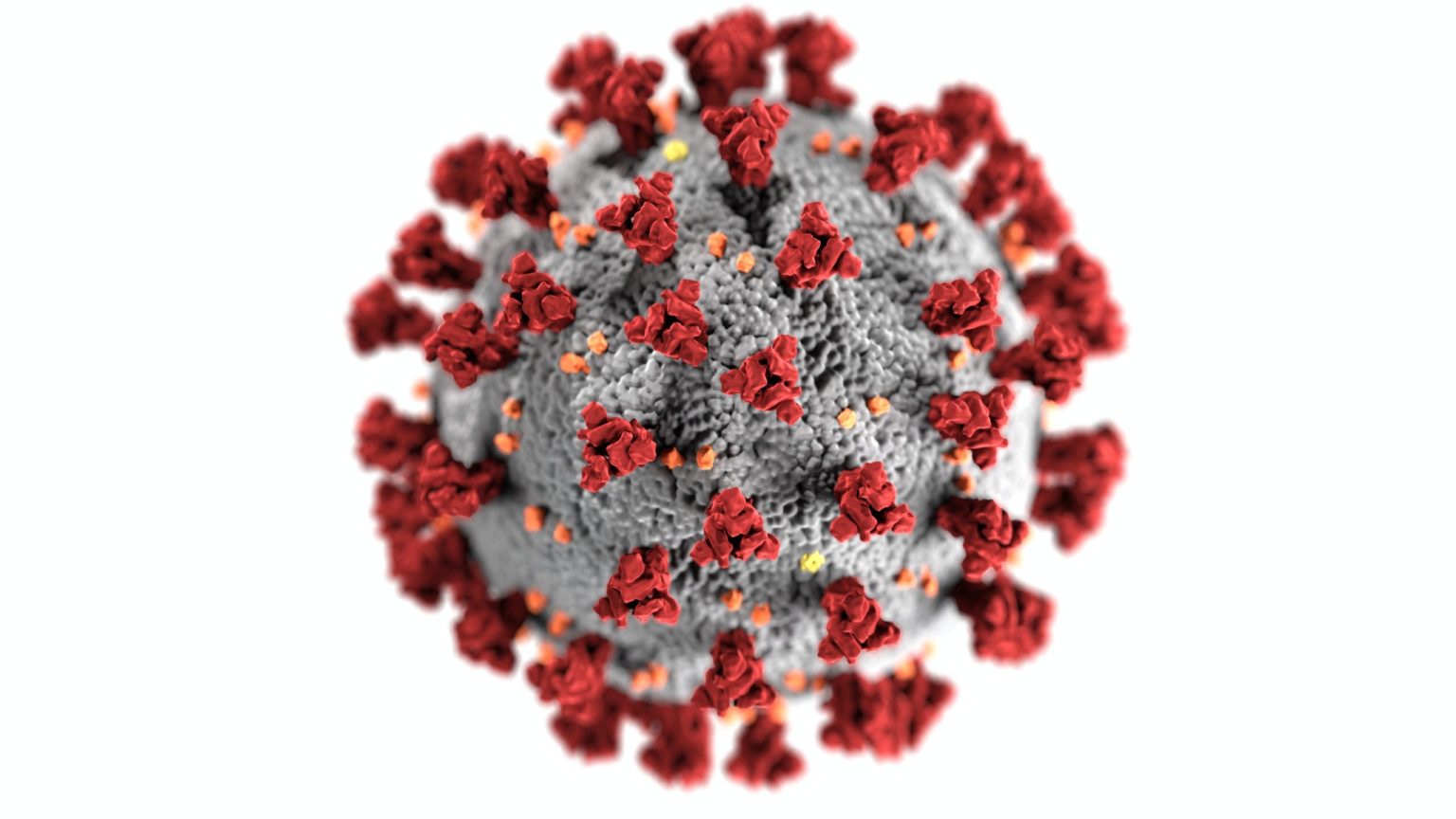coronavirus-scaled